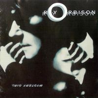 Roy Orbison - Mystery Girl